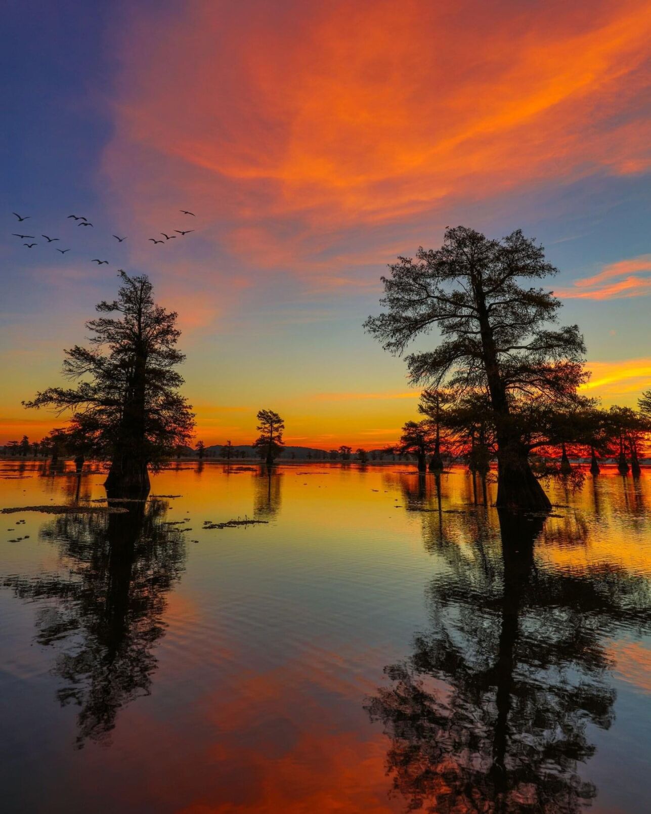 caddo1